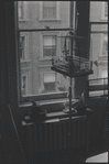 Birdcage near window. New York, NY