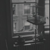 Birdcage near window. New York, NY