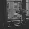 Birdcage near window. New York, NY