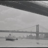 New York, NY