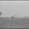Amish community