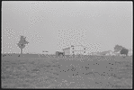 Amish community