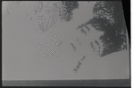 Montage