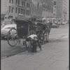 New York, NY