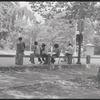 Central Park. New York, NY