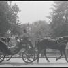 Central Park. New York, NY