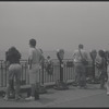 New York, NY