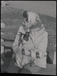 Woman and dog seated on bench. New York, NY