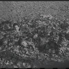 Children buried in leaves
