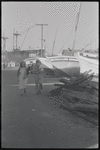 Harbor