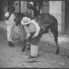 Man removing horseshoe