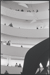 Guggenheim Museum. New York, NY