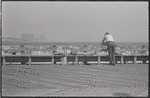 Coney Island. Brooklyn, NY