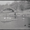 Central Park. New York, NY