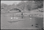 Central Park. New York, NY
