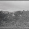 Landscape with church steeple