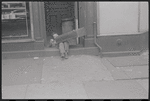 Boy in doorway. New York, NY