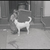 Boys and dog. New York, NY