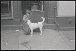 Boys and dog. New York, NY