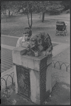 Dog drinking from water fountain