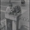 Dog drinking from water fountain