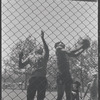 Basketball. New York, NY