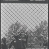 Basketball. New York, NY
