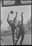 Basketball. New York, NY