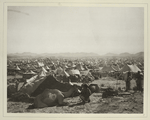 Pilgerlager in der Ebene östlich vom ‘Arafah-berge
