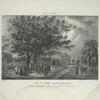 View of Flushing (Long Island), North America, oak-trees, under which George Fox, Quaker, preached the truths of the Gospel.