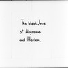 "The Black Jews of Palestine at One Time Had Their Own Kingdom in Abyssinia"