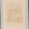 Watson, Elkanah. Albany. To Henry Glen