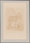 Watson, Elkanah. Albany. To Henry Glen