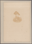 George III. St. James Court. To Councillor Henry Fox, Esq