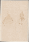 Louis XVI. Versailles