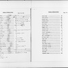"Survey of Harlem Stores"