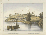 Muscadine [Muscatine], Iowa.