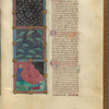Three miniatures of plagues. With text, initials, linefillers