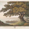 Philadelphia, from the great tree at Kensington, under which Penn made his great treaty with the Indians.