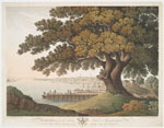 Philadelphia, from the great tree at Kensington, under which Penn made his great treaty with the Indians.