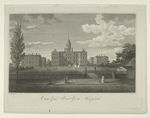 View of the New York hospital.