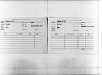 “American Negro Music”