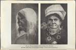 Portrait heads of natives of Tana, New Hebrides - (left) Man; (right) Woman