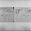 “The Universal Negro Improvement Association”