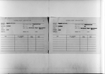 “The Universal Negro Improvement Association”