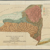 Relief map of the state of New York, showing the boundaries of the geologic systems
