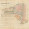 Agricultural and geological map of the state of New York