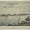 View of the city of Detroit, M.T.