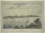 View of the city of Detroit, M.T.