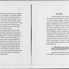 Chapter IX: Negroes in an Aggressive Age
